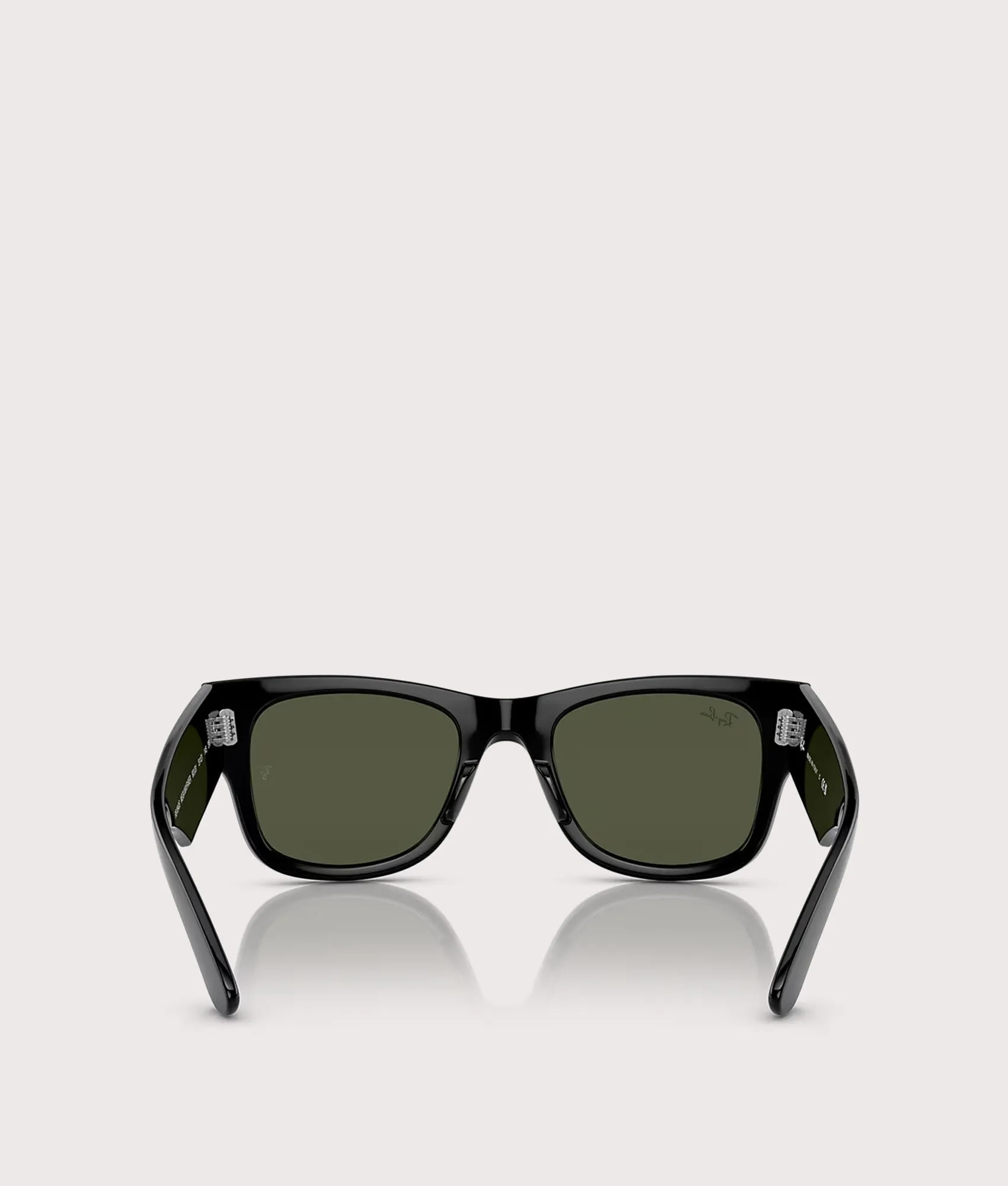 Mega Wayfarer Sunglasses