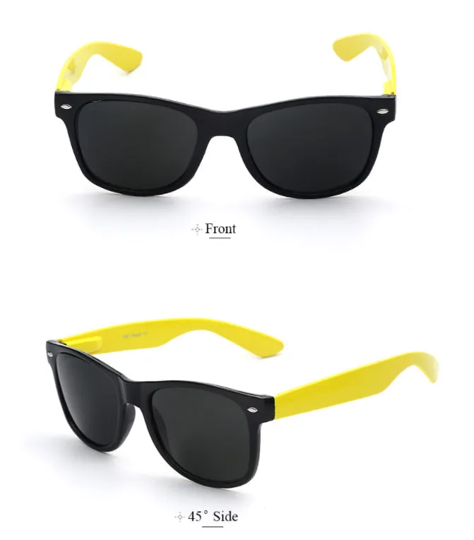 Wayfarer Sunglasses